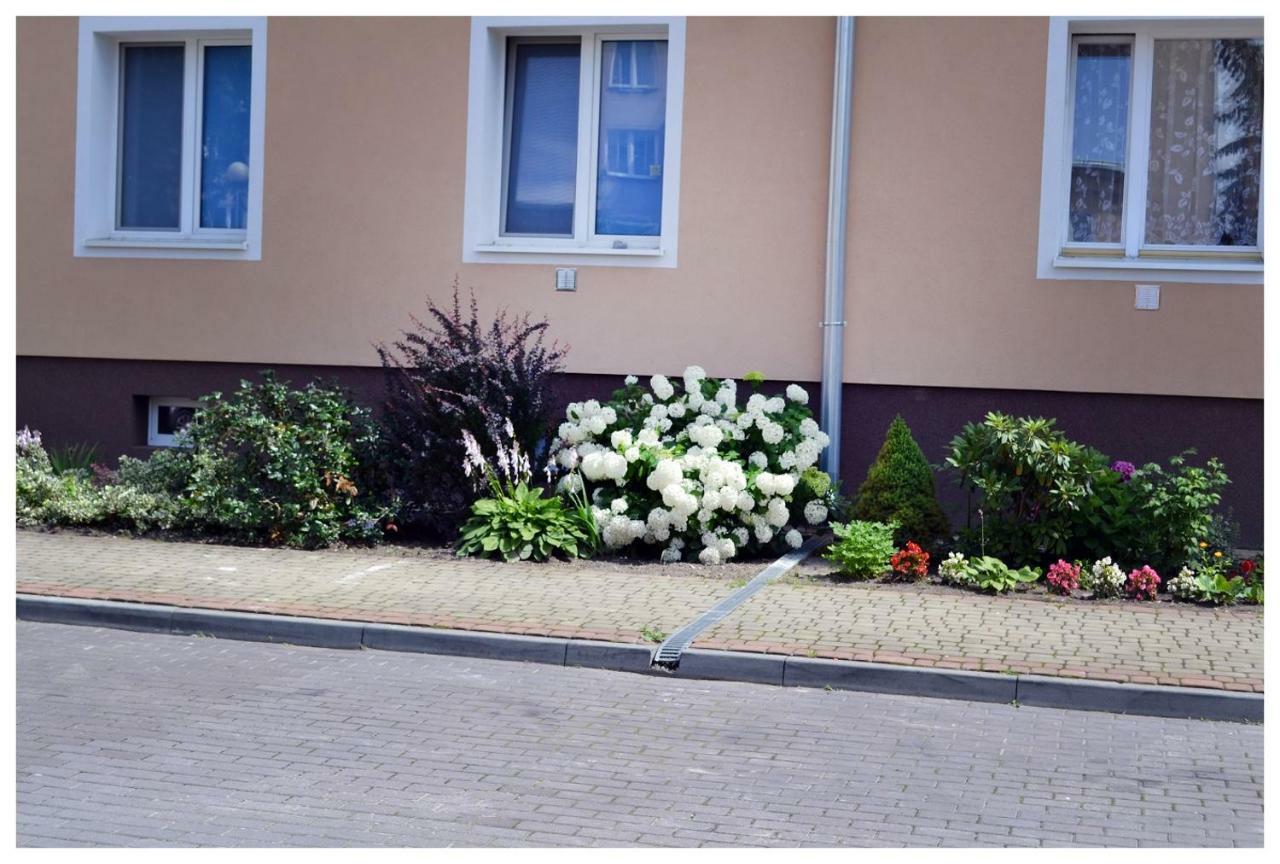 Color24 Apartament Stalowa Wola Exterior photo